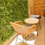Hotel Botanica Cannes